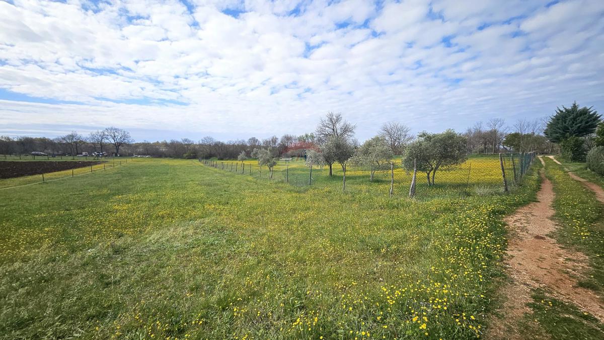 Terreno edificabile Umag, 3.364m2