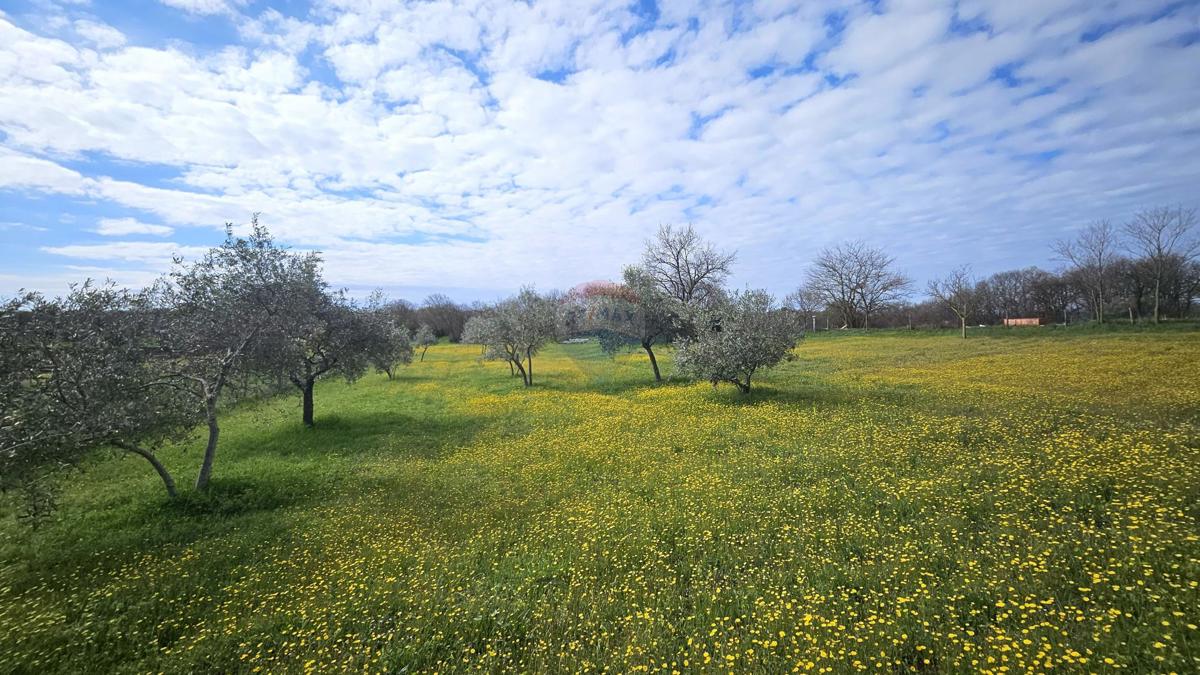 Terreno edificabile Umag, 3.364m2