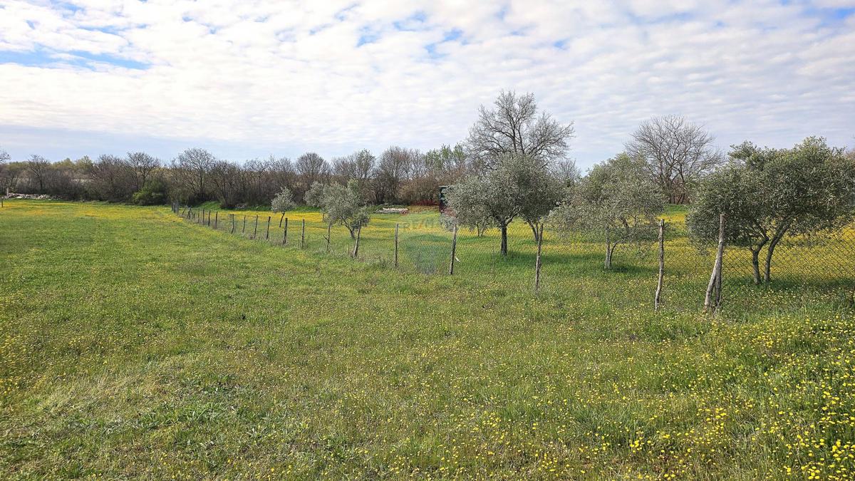 Terreno edificabile Umag, 3.364m2