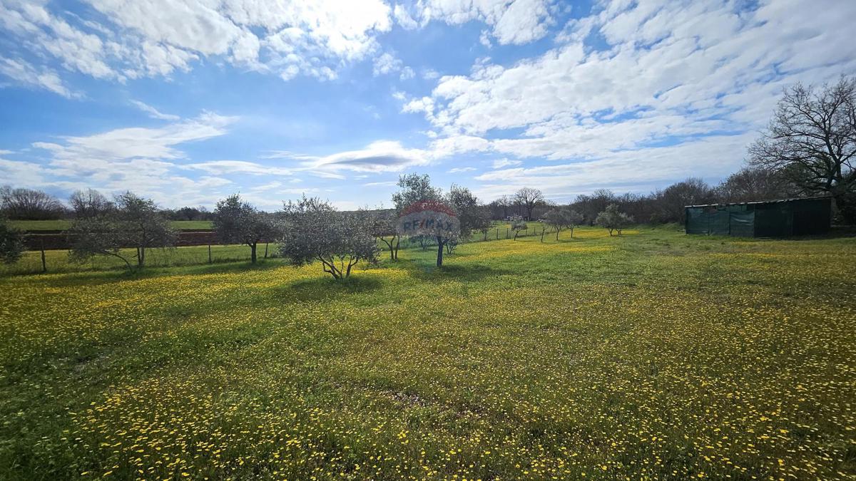 Terreno edificabile Umag, 3.364m2