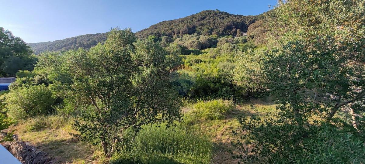 Casa Supetarska Draga, Rab, 620m2