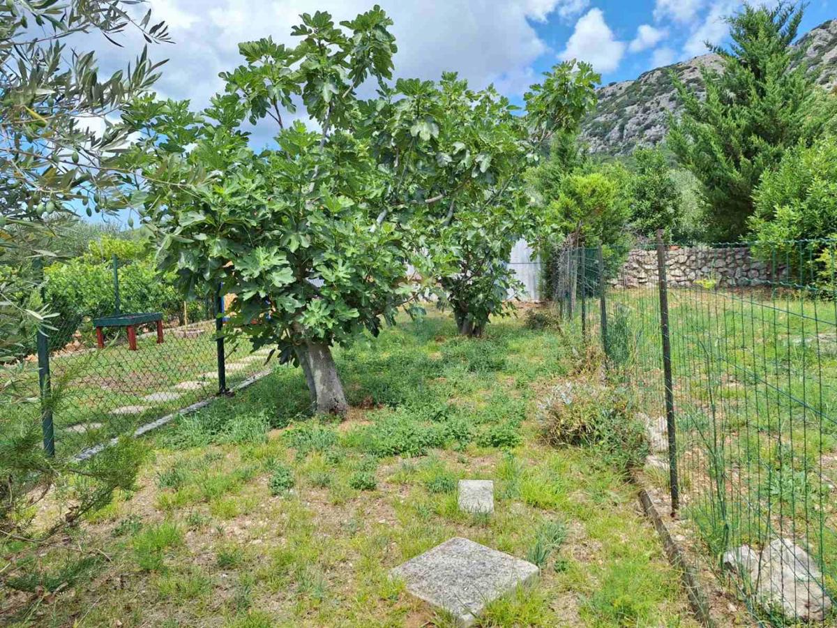 Casa Draga Bašćanska, Baška, 92m2