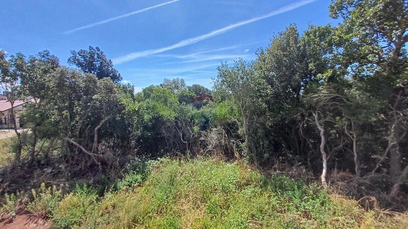 Terreno edificabile Barbariga, Vodnjan, 1.236m2