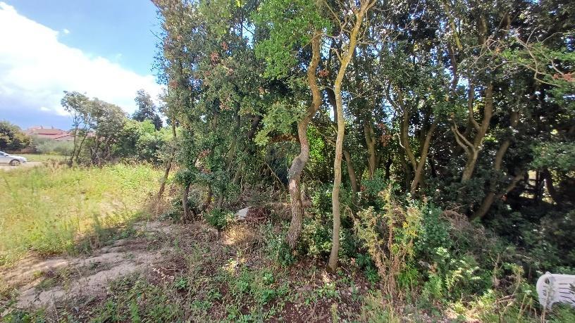 Terreno edificabile Barbariga, Vodnjan, 1.236m2