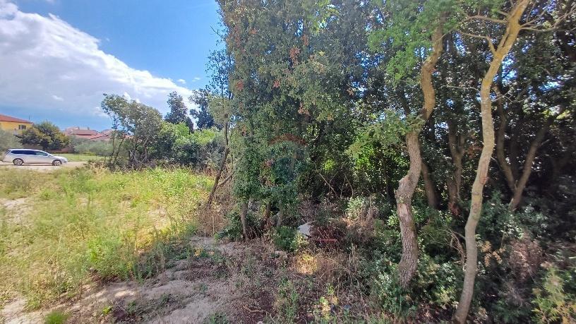Terreno edificabile Barbariga, Vodnjan, 1.236m2