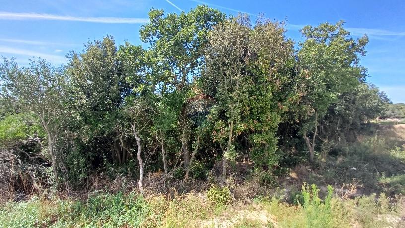 Terreno edificabile Barbariga, Vodnjan, 1.236m2