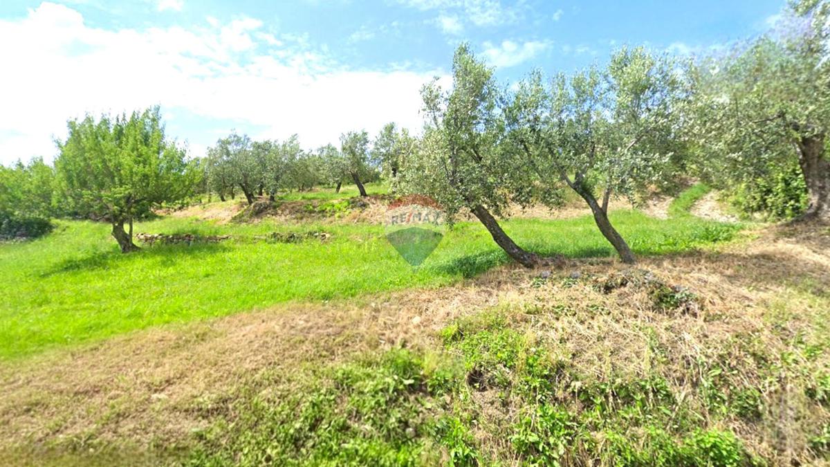 Terreno edificabile Momjan, Buje, 284m2