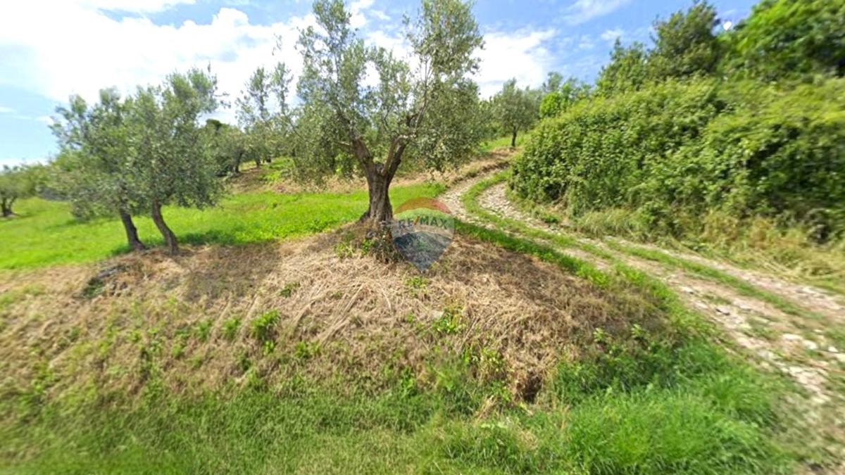 Terreno edificabile Momjan, Buje, 284m2