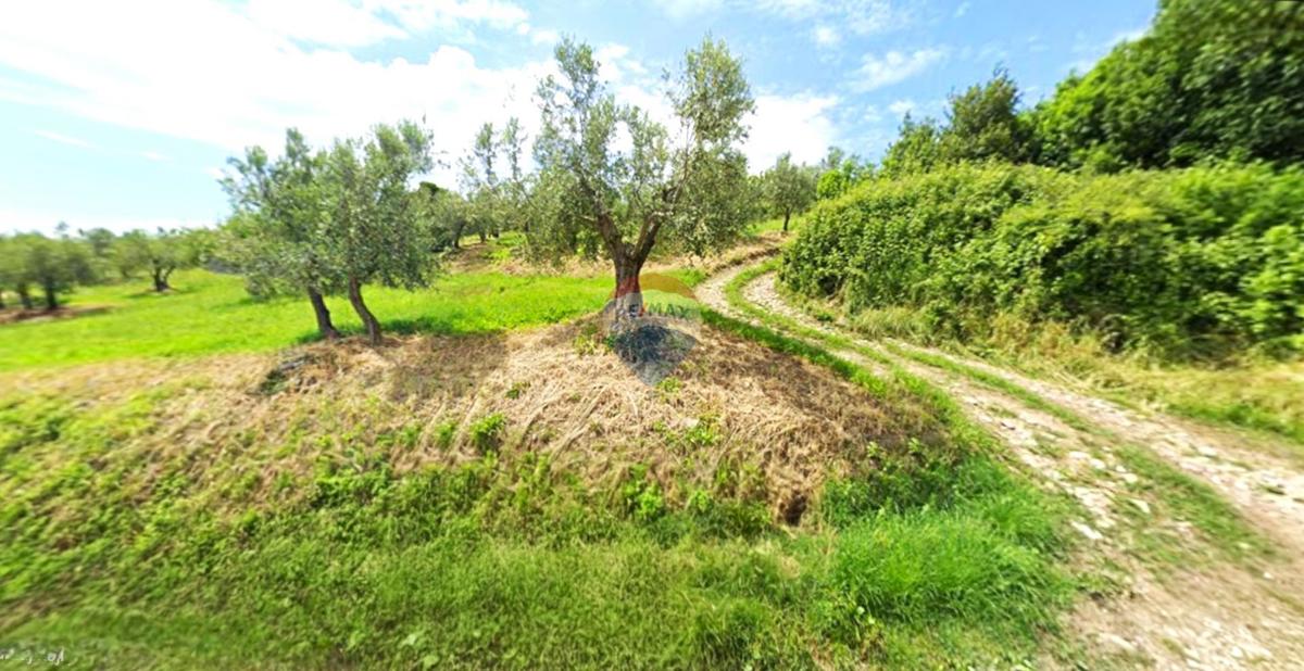 Terreno edificabile Momjan, Buje, 284m2