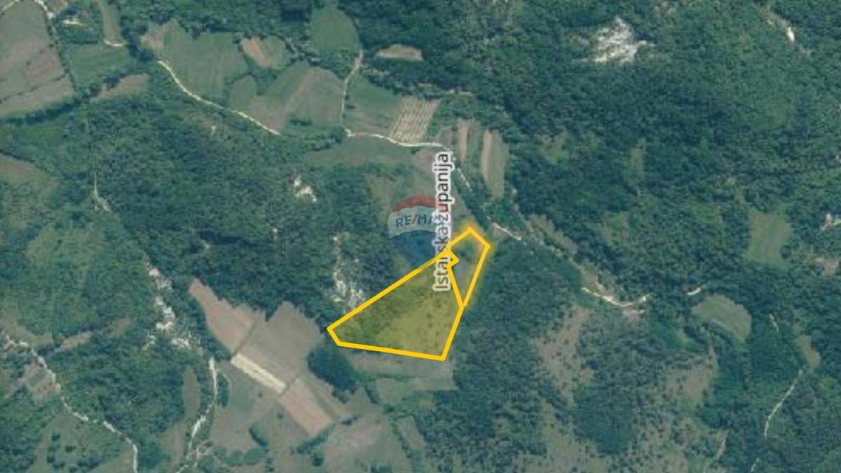Terreno non edificabile Trviž, Pazin - Okolica, 25.411m2