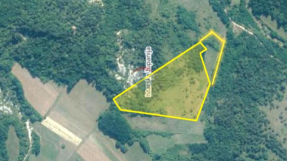 Terreno non edificabile Trviž, Pazin - Okolica, 25.411m2