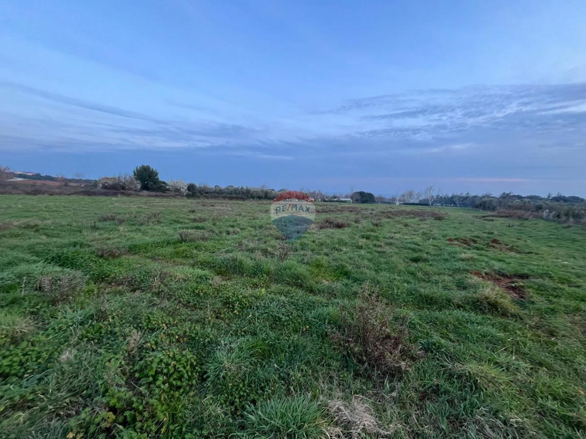 Terreno edificabile Medulin, 7.237m2