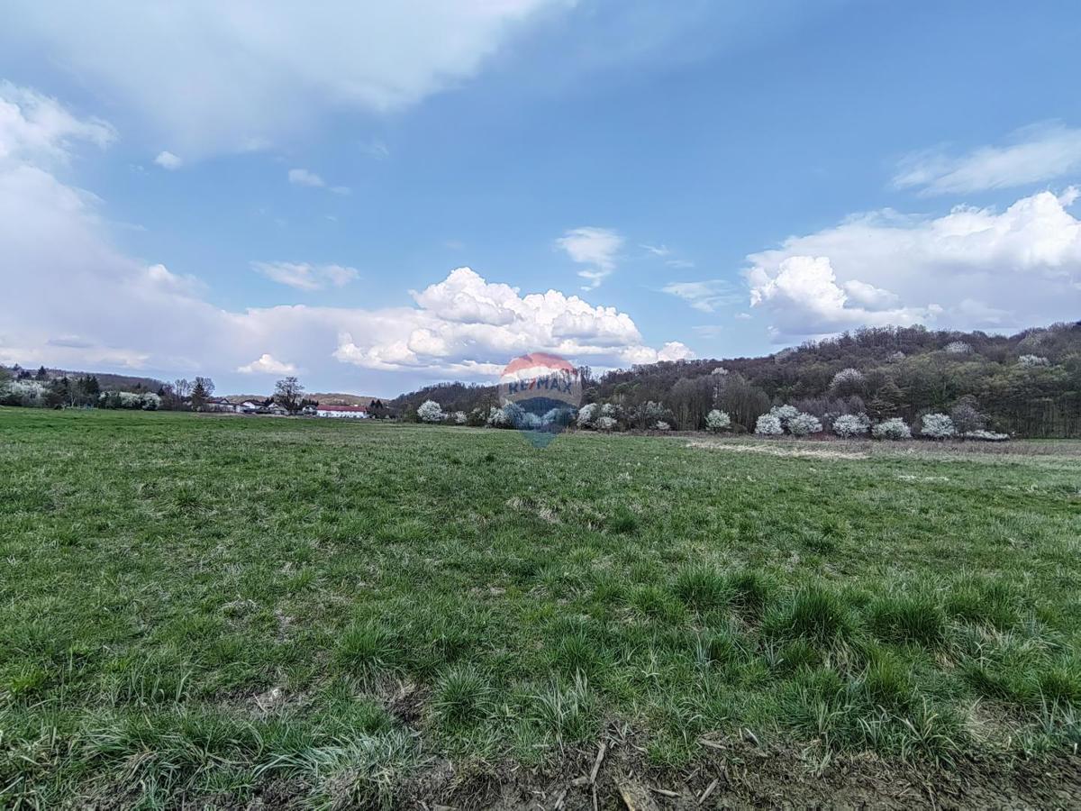 Terreno edificabile Donja Drenova, Sveti Ivan Zelina, 5.015m2