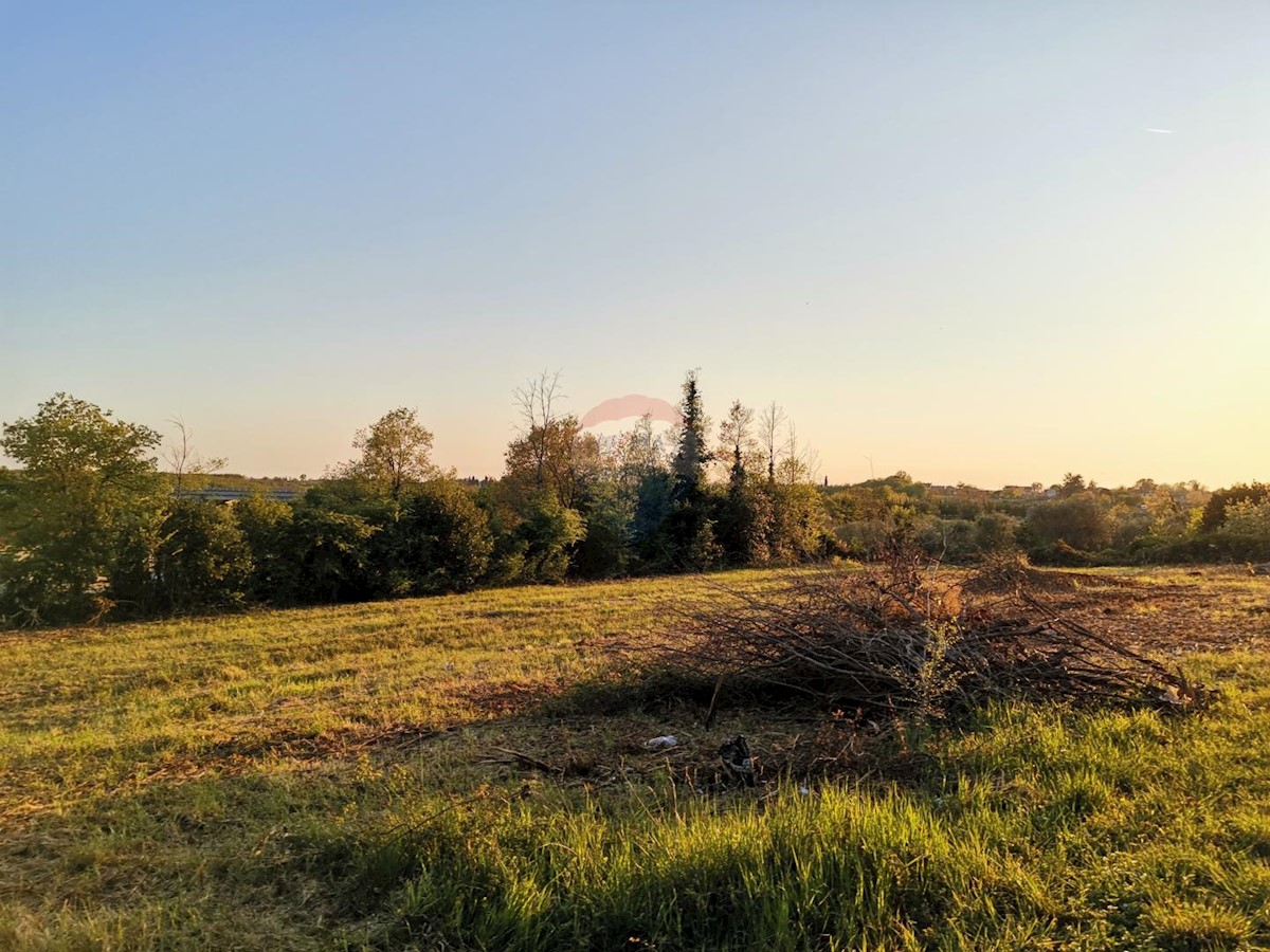 Terreno edificabile Brtonigla, 3.618m2