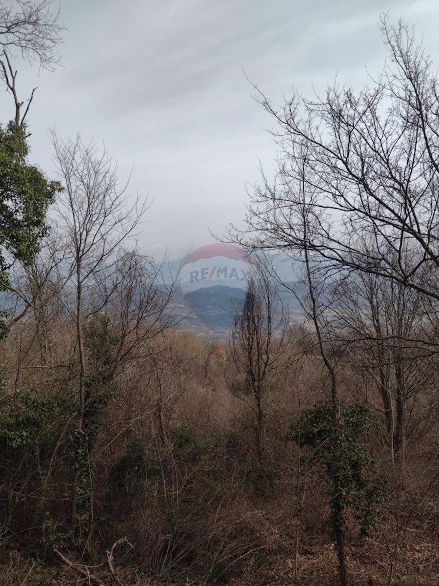 Terreno edificabile Pićan, 52.831m2