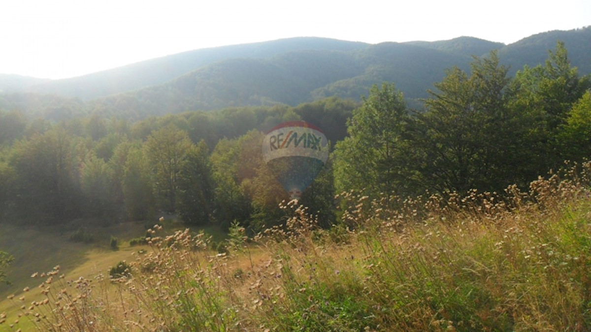 Terreno edificabile Jelenje, 5.004m2