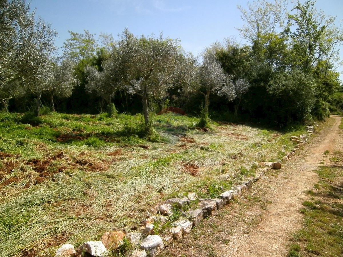 Terreno non edificabile Fažana, 4.340m2