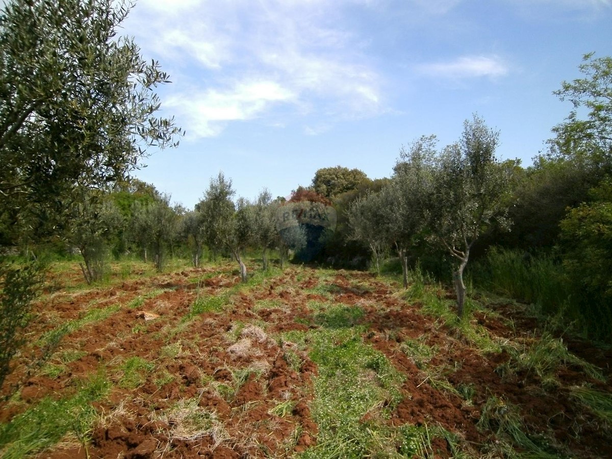 Terreno non edificabile Fažana, 4.340m2