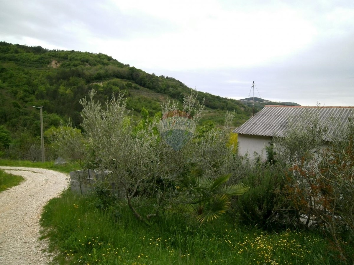 Villa Singola/Casa Vacanza Kaldir, Motovun, 467,50m2