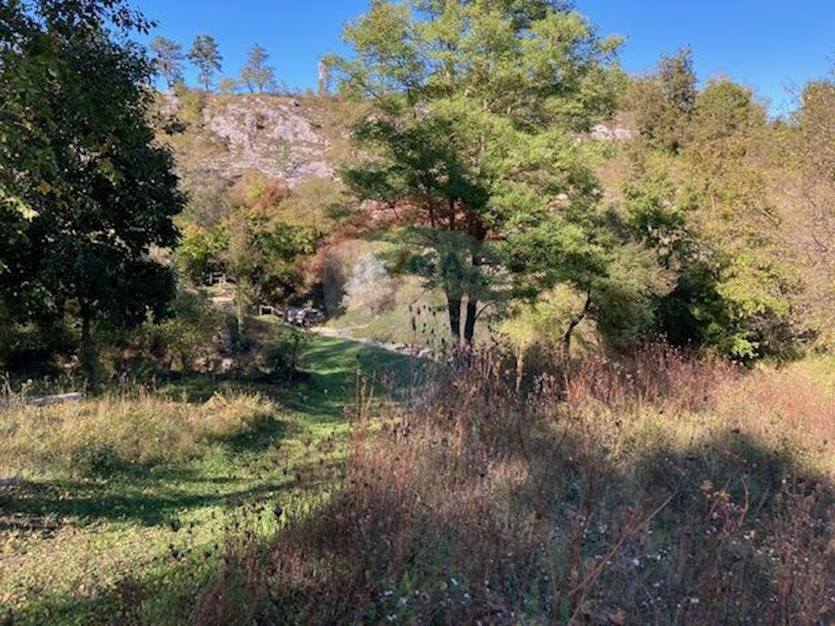 Terreno non edificabile Trviž, Pazin - Okolica, 14.374m2