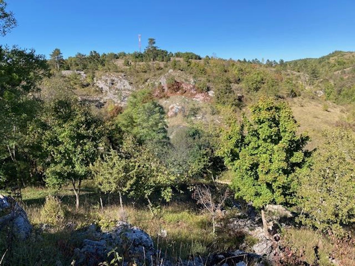 Terreno non edificabile Trviž, Pazin - Okolica, 14.374m2