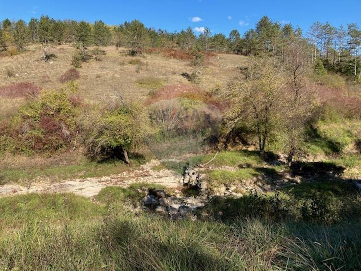 Terreno non edificabile Trviž, Pazin - Okolica, 14.374m2