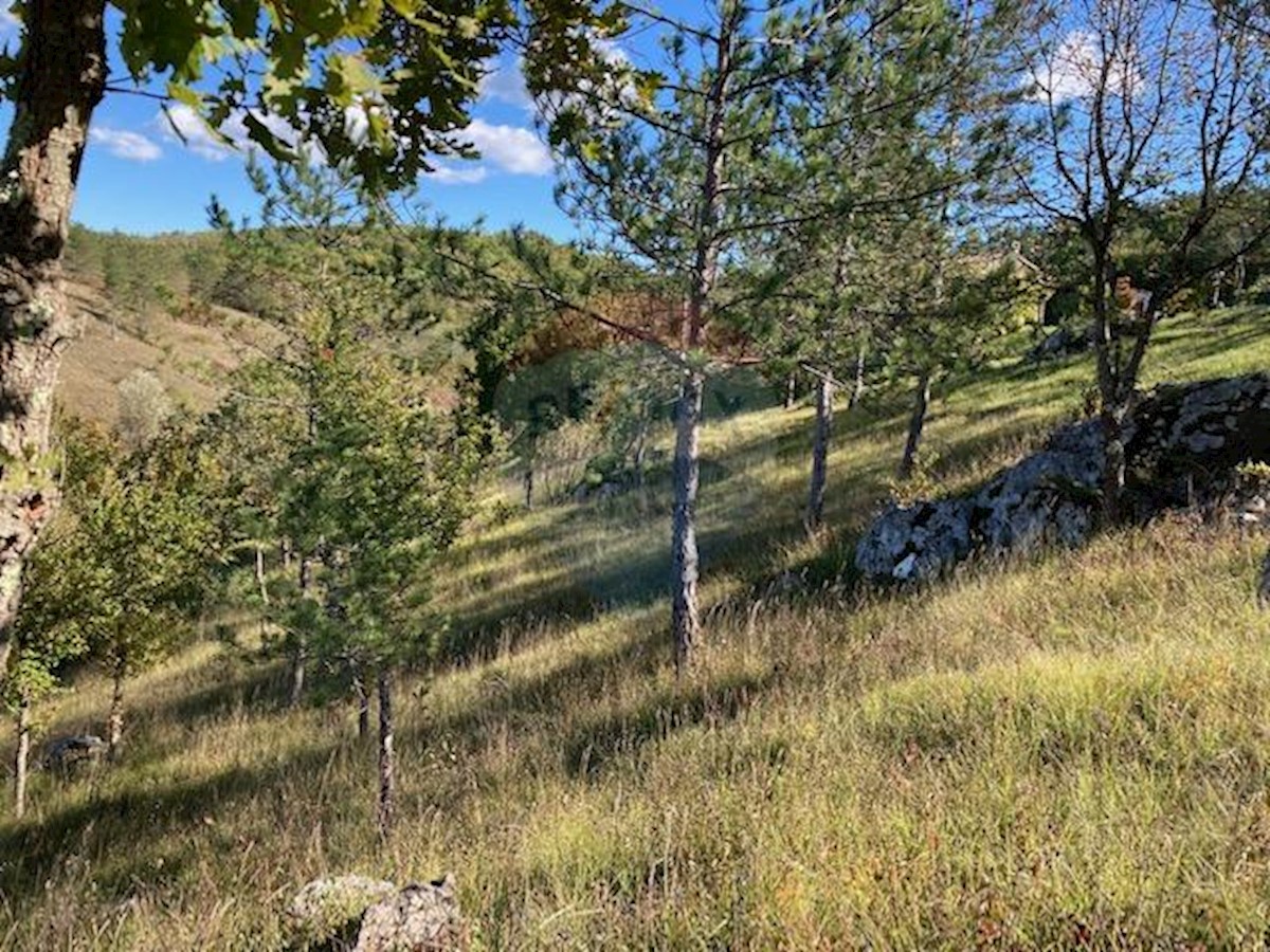 Terreno non edificabile Trviž, Pazin - Okolica, 14.374m2