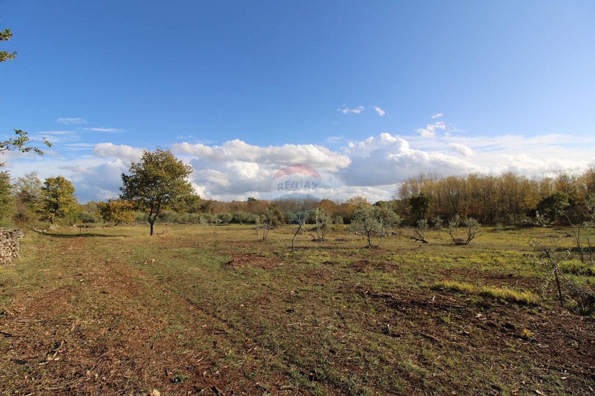 Terreno non edificabile Kaštelir, Kaštelir-Labinci, 8.578m2