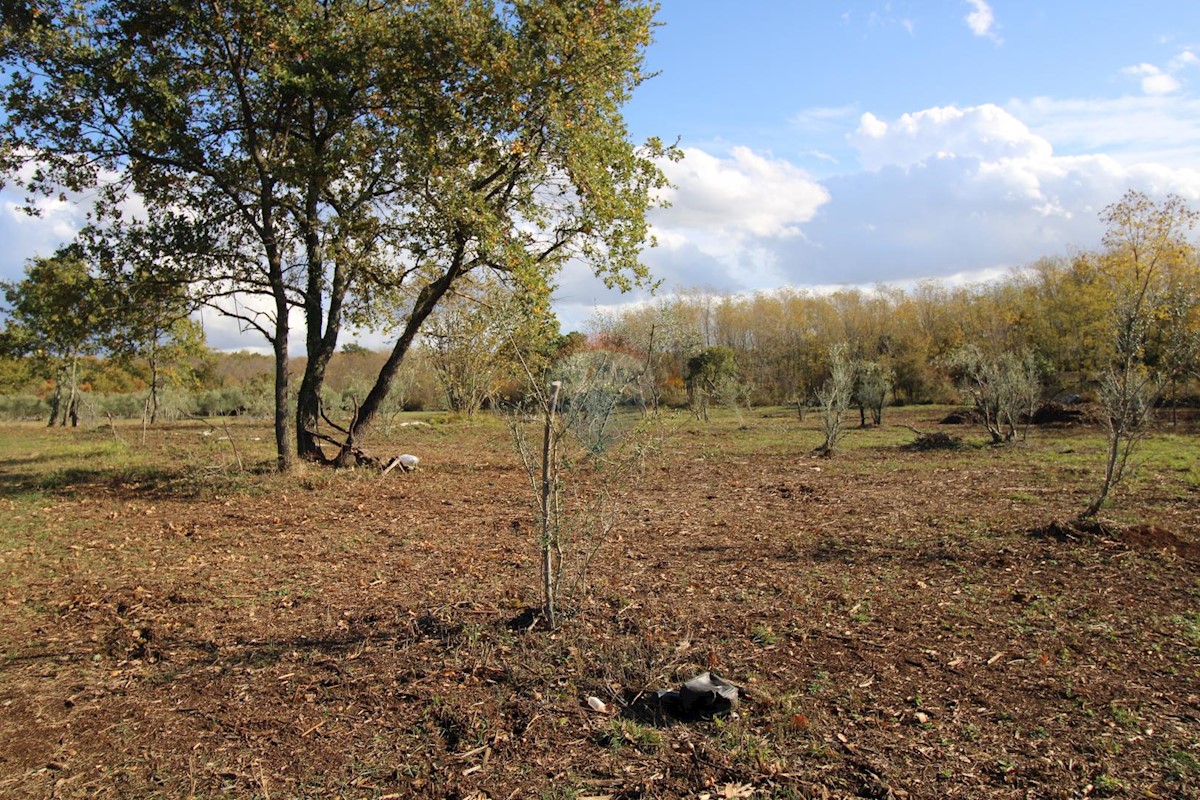 Terreno non edificabile Kaštelir, Kaštelir-Labinci, 8.578m2