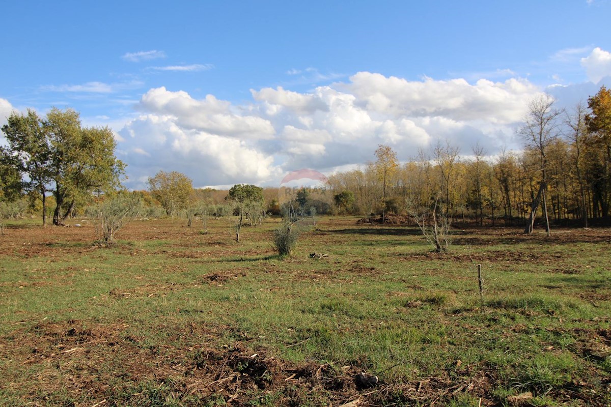 Terreno non edificabile Kaštelir, Kaštelir-Labinci, 8.578m2