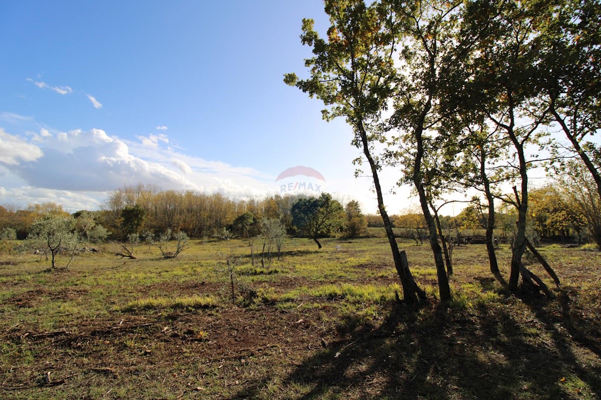 Terreno non edificabile Kaštelir, Kaštelir-Labinci, 8.578m2