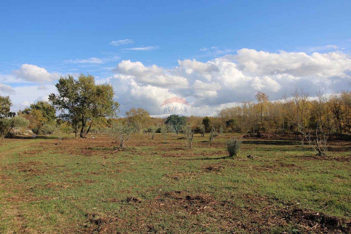 Terreno non edificabile Kaštelir, Kaštelir-Labinci, 8.578m2