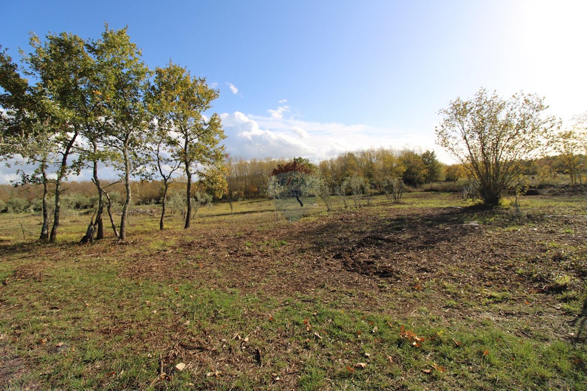 Terreno non edificabile Kaštelir, Kaštelir-Labinci, 8.578m2