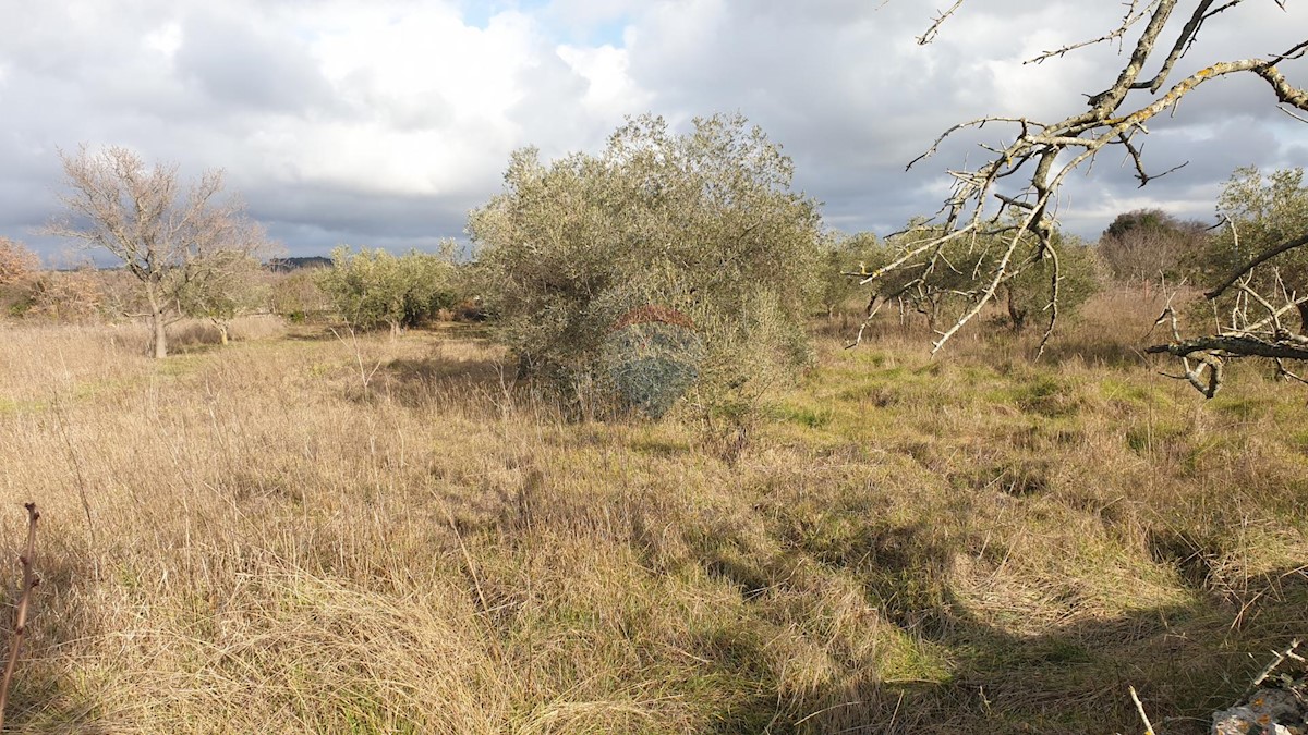 Terreno non edificabile Fažana, 1.140m2