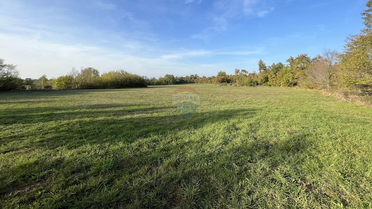 Terreno non edificabile Gradina, Sveti Lovreč, 72.403m2