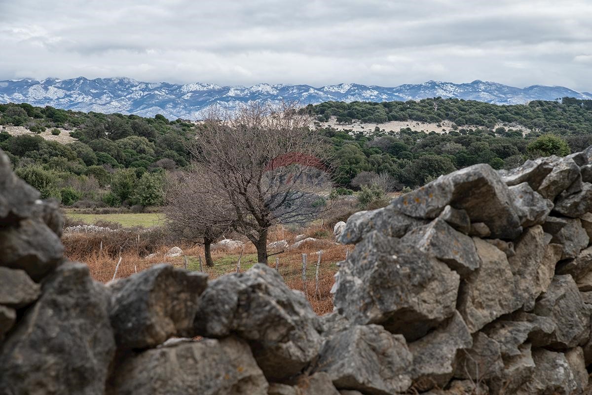 Appartamento Supetarska Draga, Rab, 79m2