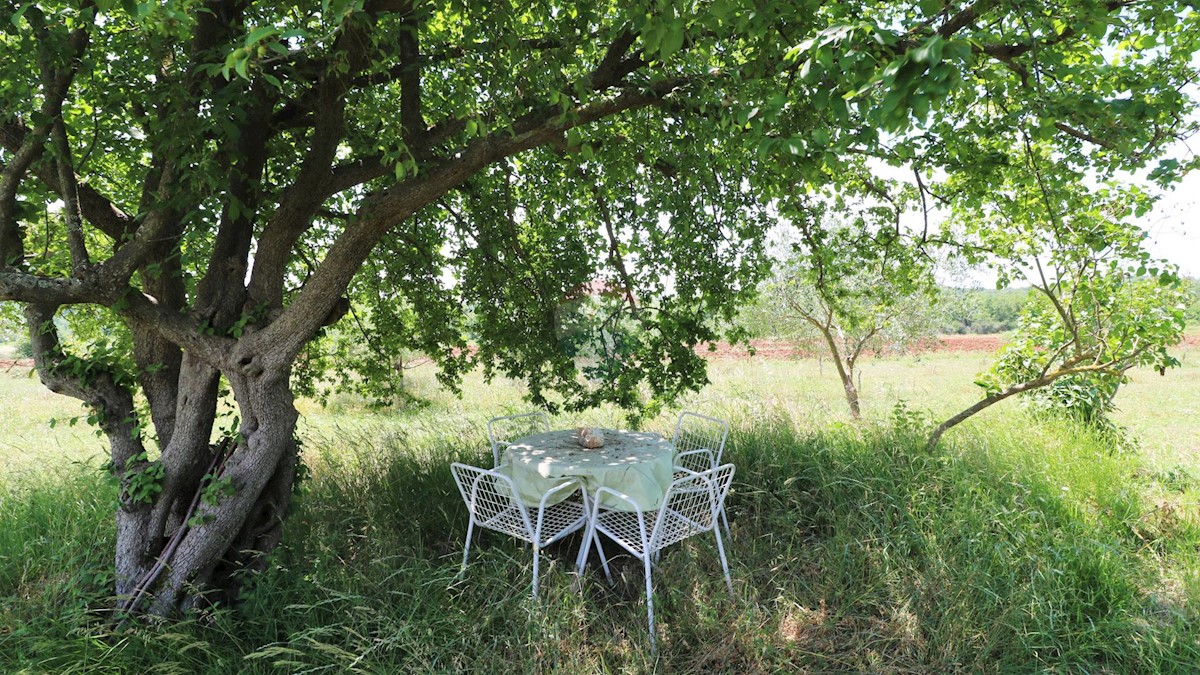 Terreno non edificabile Poreč, 43.147m2
