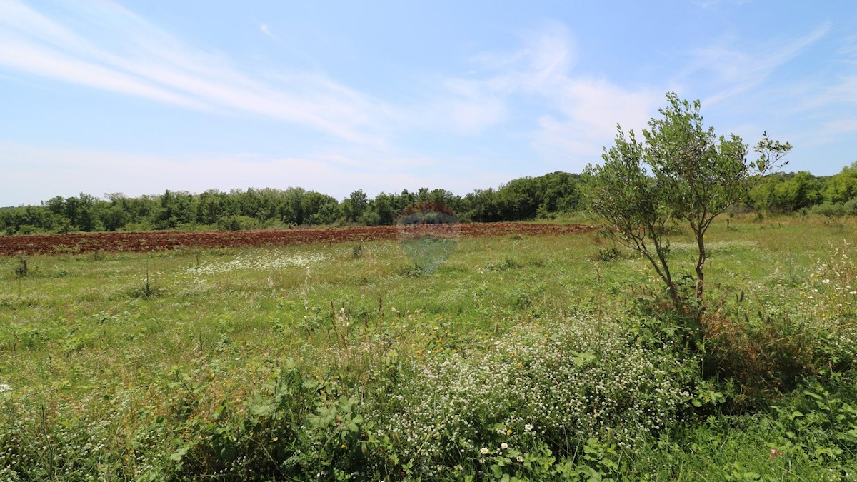 Terreno non edificabile Poreč, 43.147m2