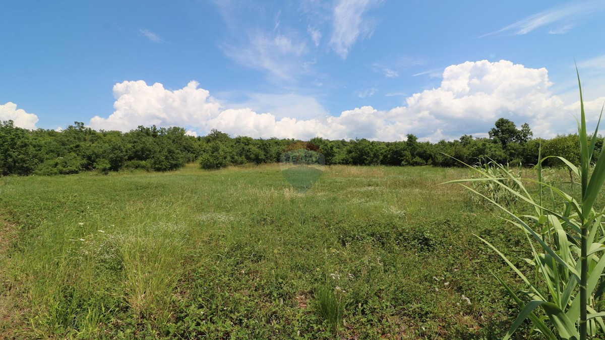 Terreno non edificabile Poreč, 43.147m2