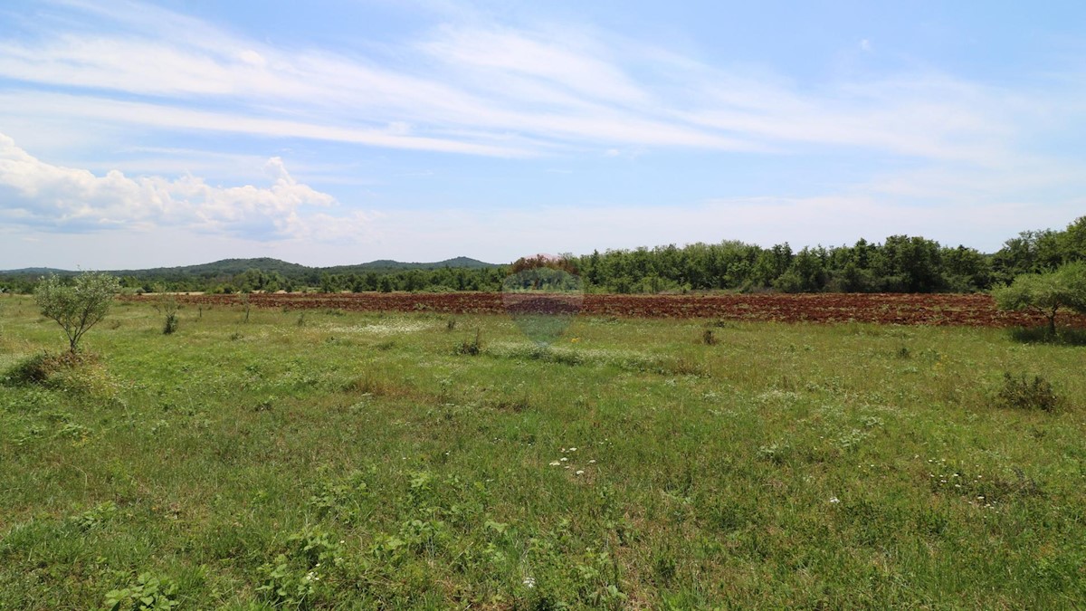 Terreno non edificabile Poreč, 43.147m2