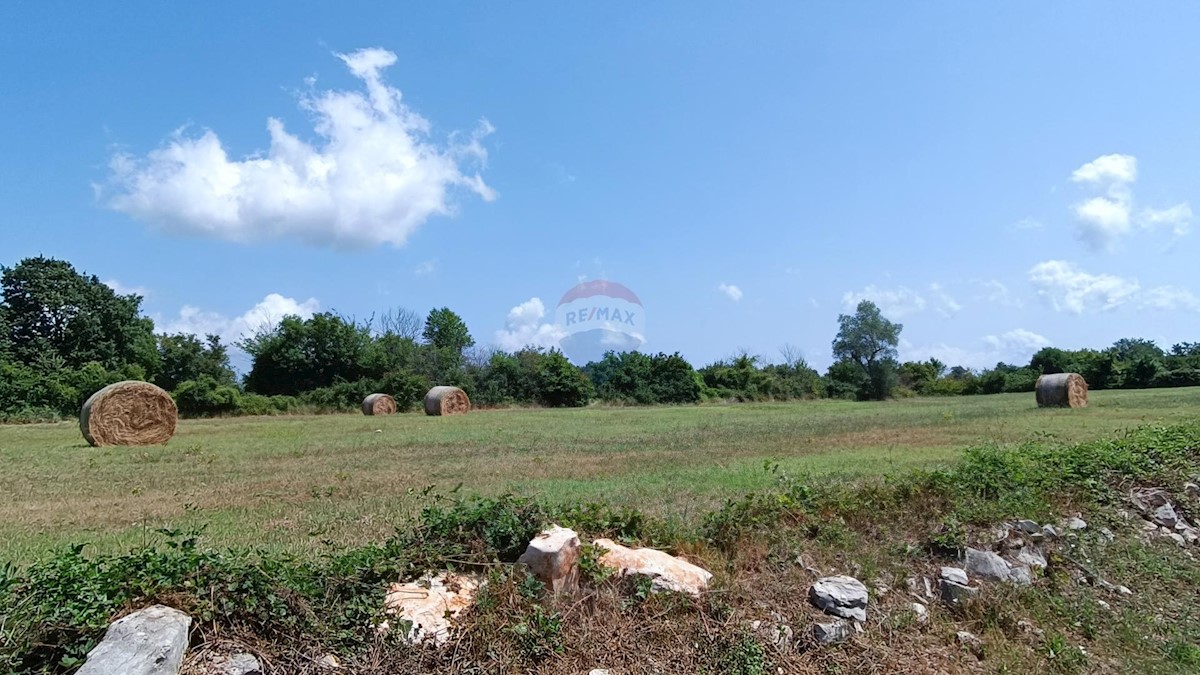 Terreno non edificabile Juršići, Svetvinčenat, 5.864m2