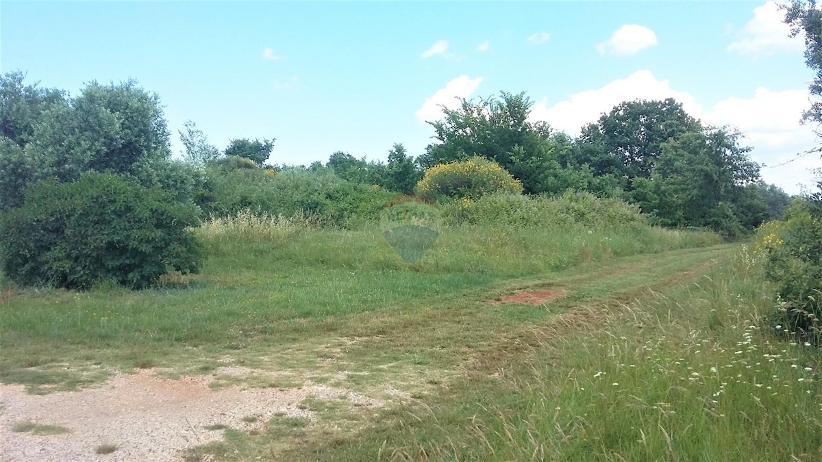 Terreno edificabile Lovrečica, Umag, 600m2