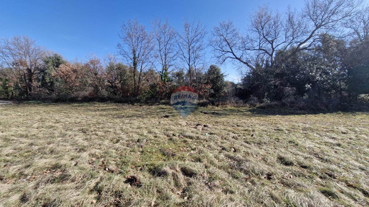 Istria, Pavićini – terreno edificabile a 2 km dal mare