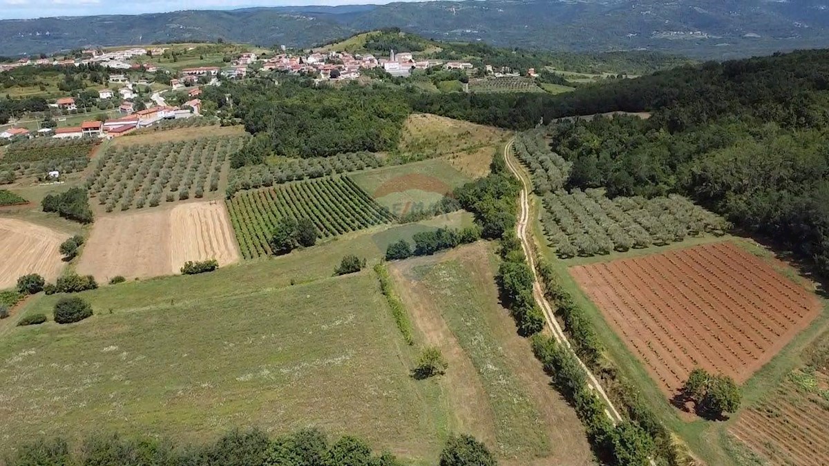 Terreno non edificabile Vižinada, 31.525m2