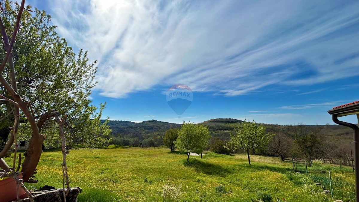 ISTRIA, BUJE - Detached house and large building plot