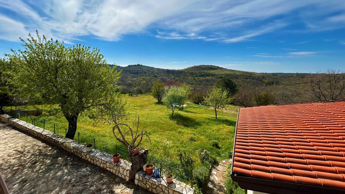 ISTRIA, BUJE - Detached house and large building plot