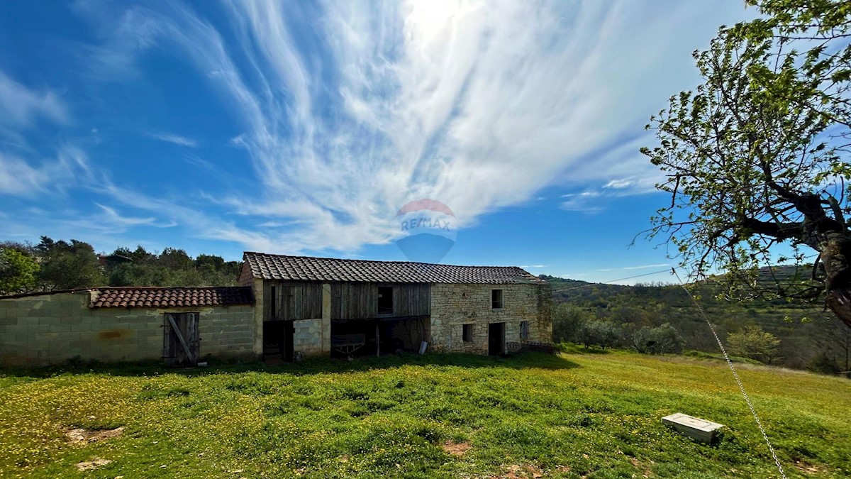 ISTRIA, BUJE - Detached house and large building plot