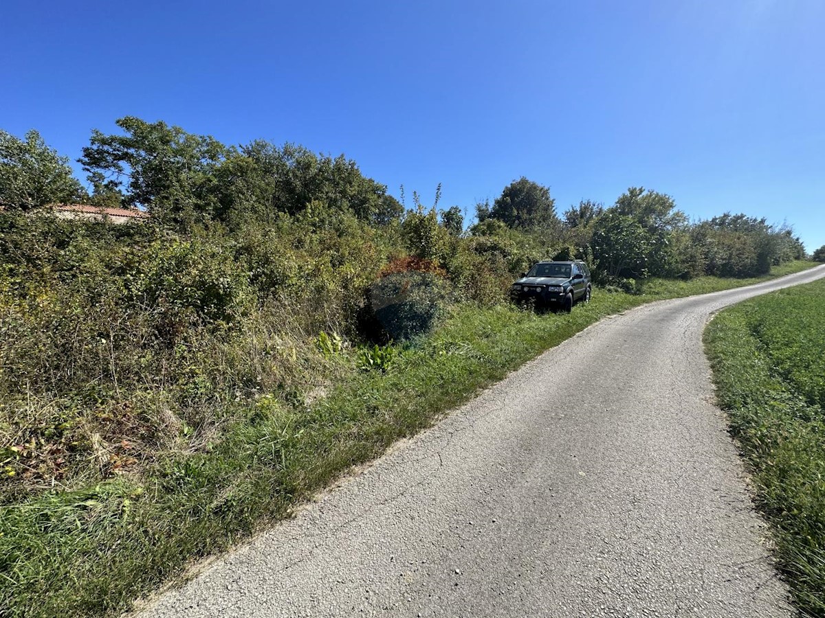 Terreno edificabile Kašćerga, Pazin - Okolica, 2.300m2