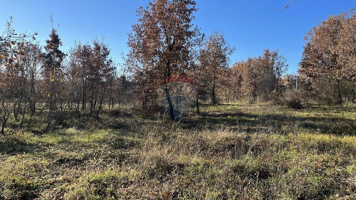 Terreno non edificabile Jasenovica, Poreč, 8.520m2