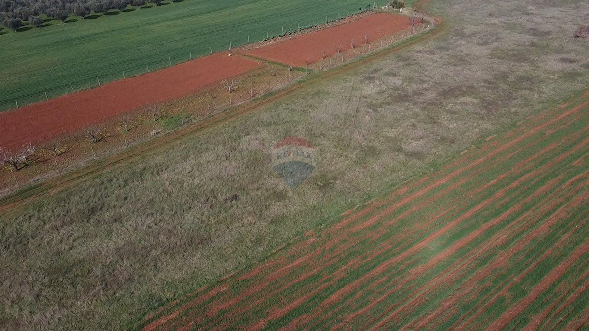 Terreno non edificabile Dračevac, Poreč, 9.776m2